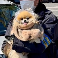 犬を散歩していただけなのに、警察に逮捕されて…『まさかの罪状』と警察官の神対応に2万いいね集まる「可愛いは重罪」「所轄はワン岸署か」