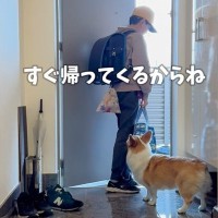 春休みが終わり学校へ行く息子→寂しがっている犬たちに『ママが一言』かけたら…まさかの『切り替えの速さ』に「機敏な動き」「お利口」の声
