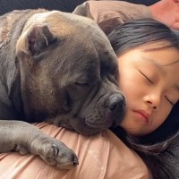 『３人の子ども』と一緒に暮らしている犬→『成長記録』をまとめたら…思わず涙が出る『心温まる光景の数々』が７万再生「愛が溢れてる」と称賛