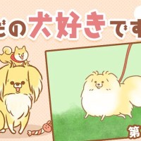 ただの犬好きです。【第313話】「なにやつ」