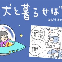 犬と暮らせば【第491話】「コーヒー散歩の悲劇」