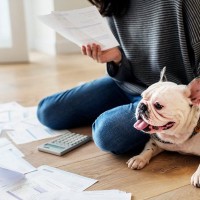『費用がかかる犬』の特徴5選　特にお金が必要なワンコの共通点や注意点まで解説