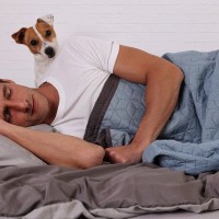 『犬は人間の糖尿病を見抜くことができる』って本当？どのように感知するの？犬が持つ驚きの能力とは