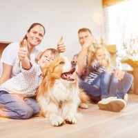 犬の『基本のしつけ』ってどういうもの？「おすわり」「まて」を教えるより前に大切にすべき3つのこと