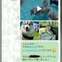お義母さんに『大型犬が遊ぶ写真』をLINE→届いた返信が…想定外だった『まさかの疑い』に「倍はあって草」「なんて大きいモフモフｗ」の声
