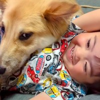 仲良しな元野犬の子犬と赤ちゃん→可愛さが限界突破している『幼児まくら』をする光景が49万再生「幸せの詰め合わせ」「癒された」と絶賛