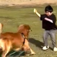 男の子と凧上げ→手が離れ飛んでいってしまったら、大型犬が…まさかの『天才すぎる行動』に「素晴らしい連携プレー」「素敵な家族」と絶賛