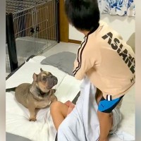 男の子2人が『毛布の引っ張り合い』を始めたら、見ていた犬が…まさかの展開が47万再生「子どもと同じｗ」「弱い方に味方するの素敵」の声