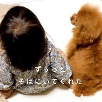 ４年間『女の子の幼稚園生活』を見守り続けた犬…思わず涙する『小さなお母さんのような光景』が21万再生「泣けてきた」「素敵すぎる」と感動