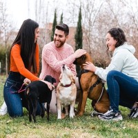 『誰にでもフレンドリーな犬』の特徴3選　愛嬌のある子に育てるコツとは？