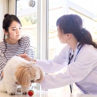 犬が『調子悪い』ときにみせる行動7つ　異変を見逃さないために注意すべきポイントとは