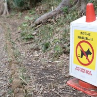 『迷惑な犬の飼い主』の特徴6つ　周りが大迷惑しているモラルのない人の共通点とは？