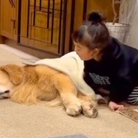 小さな女の子が、床で寝ている大型犬に近づいて…まるで『お母さんのような行動』が2万再生「思わず笑顔になった」「可愛くて優しい」と絶賛の声