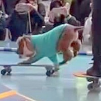 雨の代々木公園で、闘病中のおじいちゃん犬がパフォーマンス→予想以上に『愛と絆あふれる空間』に「本当にかっこいい」「13歳とは思えない」