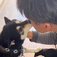 がん治療で入院していた父→1週間ぶりの帰宅で、犬が…思わず泣けてくる『雄叫びをあげながら歓迎する光景』に「大好きなの伝わる」と感動の声