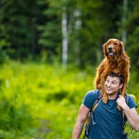 犬を『おんぶ』するのはNG？起こりうるリスクや正しい抱き上げ方を解説