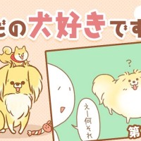 ただの犬好きです。【第314話】「画像検索」