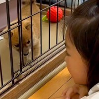 赤ちゃん犬を飼ったら、女の子が『飼わなきゃよかった』とポツリ…1年後→素敵すぎる光景に思わず涙「やさしい家族」「全部が宝物」と感動の声