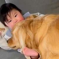 赤ちゃんと大型犬を『１ヶ月間隠し撮りした』結果…驚くほど『密着レベルが高い光景』に思わずホッコリすると9万再生