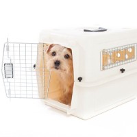 犬がケージから脱走してしまう心理3選　未然に防ぐためにするべき対応とは？