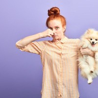 『犬の臭いを消す方法』とは？どこからニオイが発生するの？おすすめの消臭対策まで
