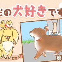 ただの犬好きです。【第315話】「気になって気になって」