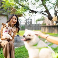 愛犬を『他の犬と交流』させるときに守るべきルール5つ　トラブルに繋がりかねない行動は控えよう