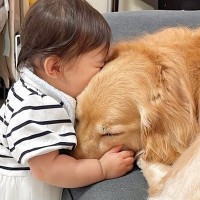 大型犬と一緒に暮らす１歳の女の子→『大好き』が溢れすぎて…泣けるほど尊い『熱烈な愛情表現』が66万再生「優しい世界」「癒される」と悶絶