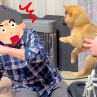 おばあちゃんに内緒で子犬をお迎え→サプライズで会わせてみた結果…100点満点な『愛おしいリアクション』が5万再生「もらい泣きした」と感動