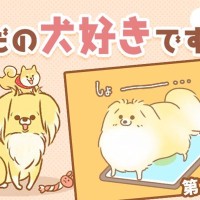 ただの犬好きです。【第316話】「抱っこの罠」