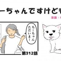 ちーちゃんですけどもっ【第312話】「飼い主の悩みどころ」