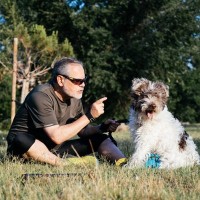 犬から『尊敬される』飼い主の特徴３つ　愛犬からリスペクトされるために意識したいこととは