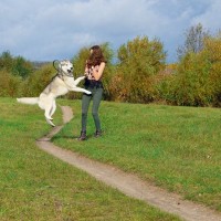 犬が急に『興奮』するのはなぜ？4つの心理から落ち着かせるための対処法まで