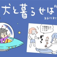 犬と暮らせば【第493話】「旅ロスってやつ」