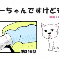 ちーちゃんですけどもっ【第316話】「たまになる寝相」