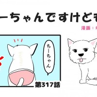 ちーちゃんですけどもっ【第317話】「一生変わらない愛」
