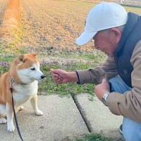 犬におやつを与えるおじいちゃん→ほんの少しよそ見をしたら…『コントでもしてるんか？』想定外の結末が445万再生「爆笑ｗ」「いいコンビ」