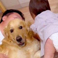 パパと大型犬が一緒に寝転がっていたら、赤ちゃんが羨ましがり…乱入して見せた『まさかの行動』に胸キュン「ヨシヨシ可愛すぎｗ」「癒された」