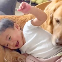 小さな男の子が大型犬のお腹にコテン→大型犬も“あご乗せ”してみた結果…まさかの『予想外すぎる反応』に「微笑ましすぎる」「ドンマイ」