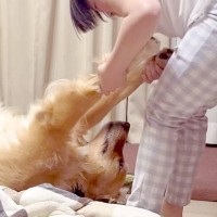 夜、大型犬を散歩に連れて行こうとしたら…まさかの『子どものようにダダをこねる光景』に「酔っ払いみたいｗ」「甘えん坊プリプリ」と爆笑