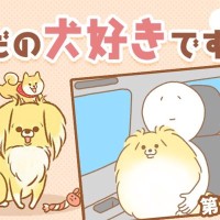 ただの犬好きです。【第317話】「この音は・・・！」