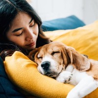 犬を『リラックス』させるための方法5つ　愛犬を安心させるために飼い主ができることとは