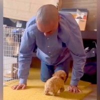 犬を飼うことに反対していた父→赤ちゃん犬をお迎えした結果…家族も予想しなかった『驚きの展開』に「優しさは伝染する」「家族まるごと変えた」