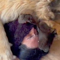 大好きなお父さんに甘える超大型犬→まるで捕食…？想像以上だった『大胆すぎる愛情表現』が11万再生「半分食べられてて笑った」「羨ましい」の声