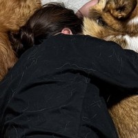 リビングで横になっていたら、5匹の犬が寄ってきて…もはや天国な『羨ましすぎるフォーメーション』に2万いいね「完璧ｗ」「囲まれたい」と悶絶