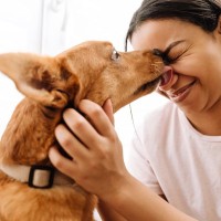 犬が『大好きな人』にだけみせる仕草や行動5選　見逃したくない愛犬からの大好きサインとは？