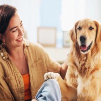 犬が足で『ちょいちょい』してくる心理4つ　なにを要求しているの？愛犬からのサインへの応え方まで