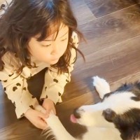 一緒に育ってきた女の子と犬→まるで『本当の姉妹』のようで…強い絆が感じられる尊い光景が13万再生「愛が大きい」「可愛すぎる」と大絶賛の声