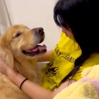 高校生になり忙しくなった女の子→帰宅すると『寂しがっていた大型犬』が近づいてきて…ほっこりが止まらない『甘えん坊すぎる光景』が24万再生