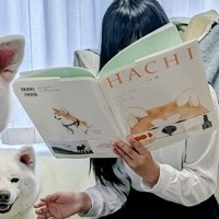 絵本を読む女の子を『４頭の大型犬』が囲って…何気なく撮った写真が『圧巻すぎる』と3万いいね「迫力すごい」「素晴らしい環境」と大絶賛